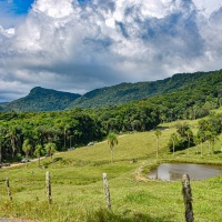 Rio dos Cedros