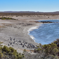 Patagônia Sul